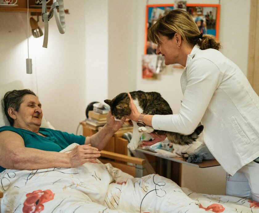 pexels-jsme-mila-523821574-18459247